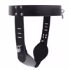 Female chastity belt (with 2 locks), black