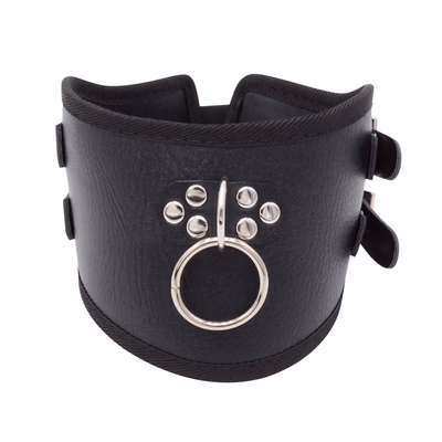 Black single collar (lock not included)