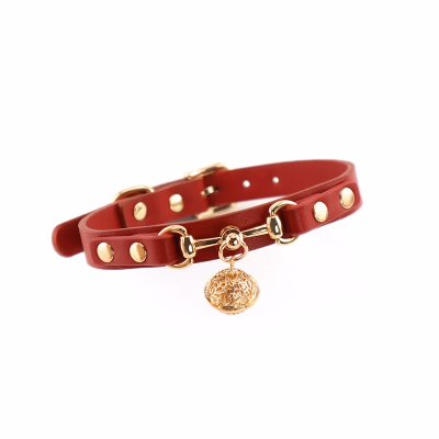 Wine-red metal bone collar traction