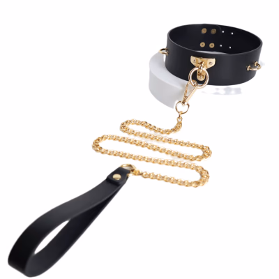 Black collar with gold chain traction