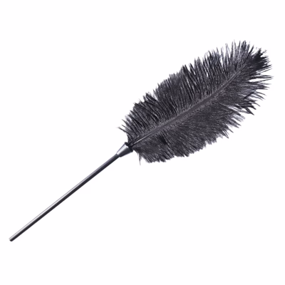 Ostrich feather teaser