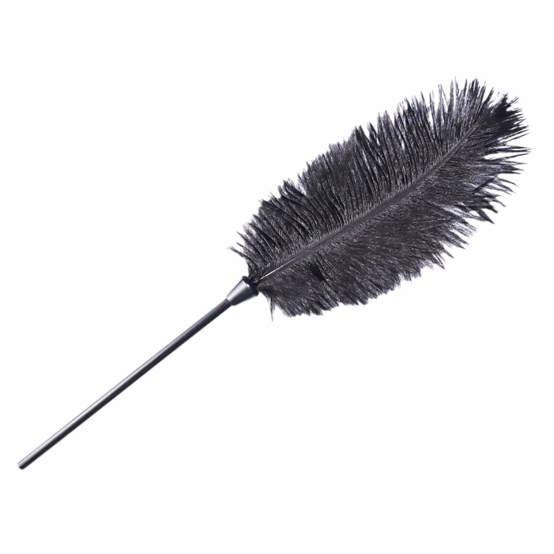 Ostrich feather teaser