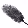 Ostrich feather teaser
