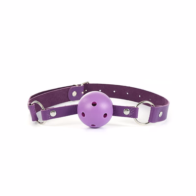 Metal anal plug, purple plastic gag