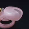 Pink Chastity Belt