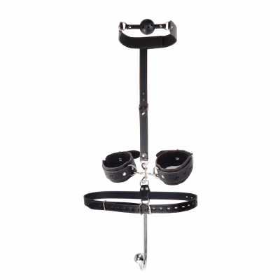 Reverse Anal Hook Set