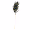 Peacock feather gold handle - detachable