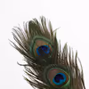 Peacock feather gold handle - detachable