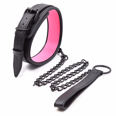 Black and pink collar with lock