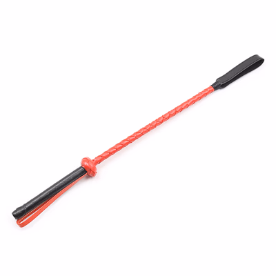 Pointer, red handle, black knot, 56cm