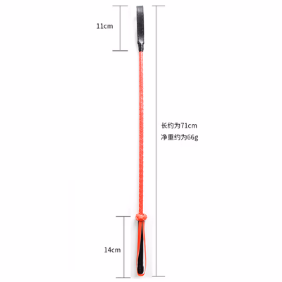 Leather pointer with red handle and black grip, 71cm