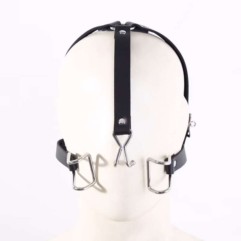 Nasal hook and mouth plug