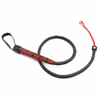 SM whip and horsewhip