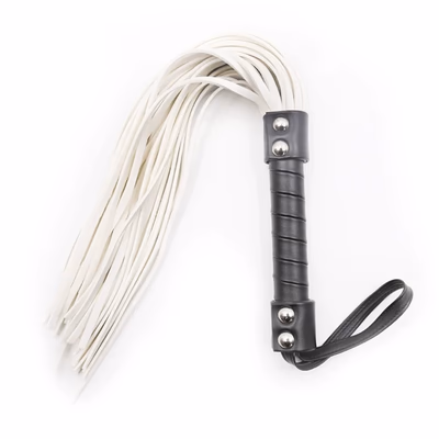 Scattered leather whip