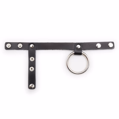 Iron ring + leather buckle lock ring