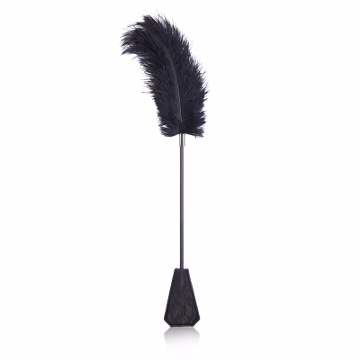 Faux lace ostrich feather teaser