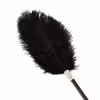 Faux lace ostrich feather teaser