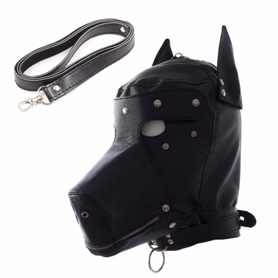 Black leather hooded dog headgear with leash