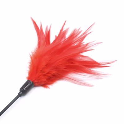 Red feather metal black handle