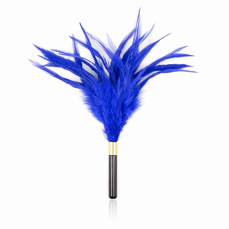 Blue multiple feathers