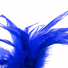 Blue multiple feathers