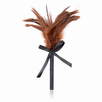 Bow tie with multiple brown feathers