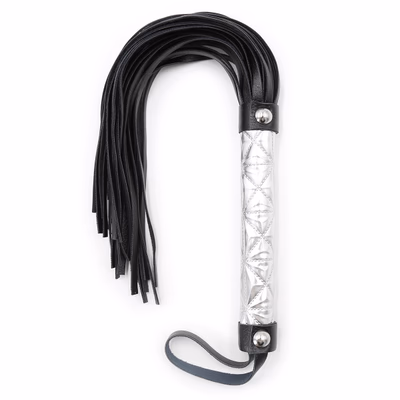 Silver leather handle whip