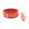 Red pin buckle - traction chain collar