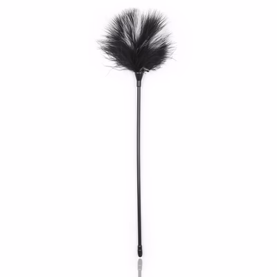 Black and white feather teasing stick