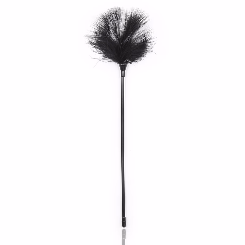 Black and white feather teasing stick