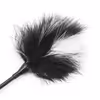 Black and white feather teasing stick