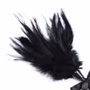 Black bow feather teaser
