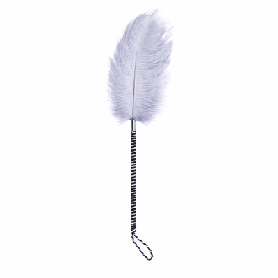 Gray ostrich feathers wrapped around a black and white handle