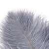 Gray ostrich feathers wrapped around a black and white handle