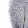 Gray ostrich feathers wrapped around a black and white handle