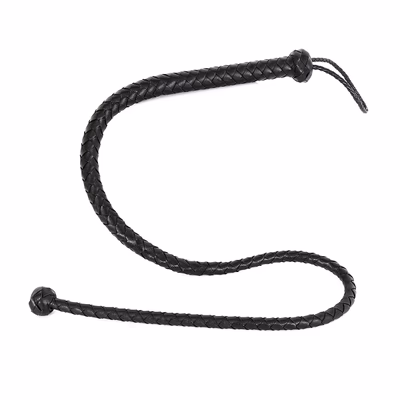 Black whip with round head