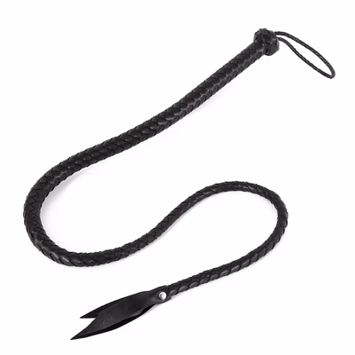 Black long whip with willow leaf tip
