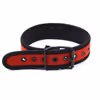 Leather collar, red (chain not included)